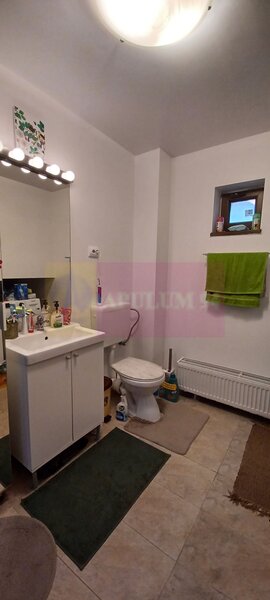 Sabareni, casa 2011, P+M 4 camere + dependinte, curte 500 mp