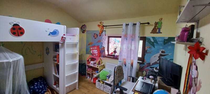 Sabareni, casa 2011, P+M 4 camere + dependinte, curte 500 mp