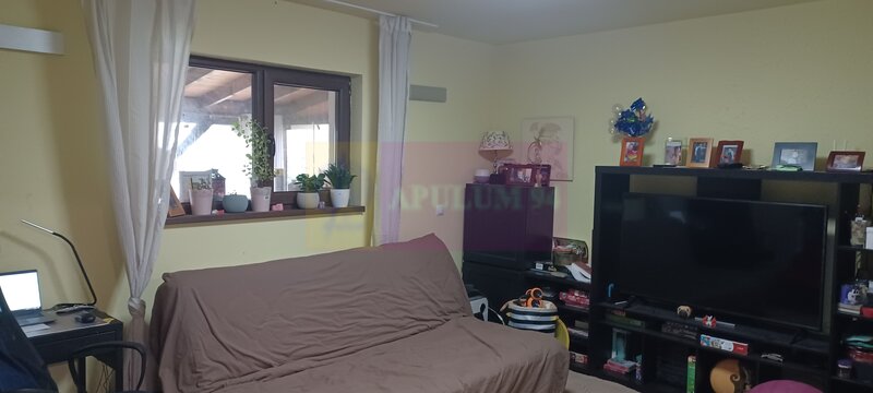 Sabareni, casa 2011, P+M 4 camere + dependinte, curte 500 mp
